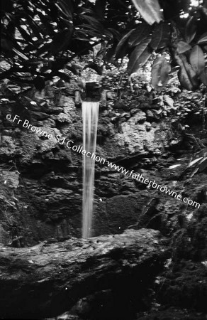 WATER SHOOT OF VANISHED ABBEY